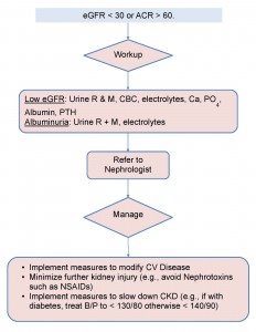 Thumbnail image of CCO ORN Kidney Wise Algorithm.